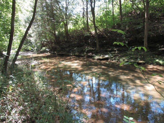 14AC Hartsville Rd, Lafayette, TN 37083 - photo 5