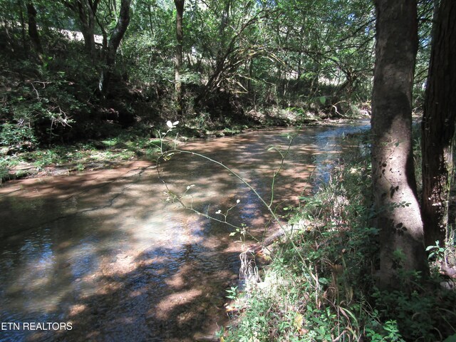 14AC Hartsville Rd, Lafayette, TN 37083 - photo 7