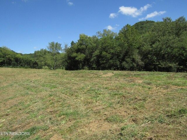 14AC Hartsville Rd, Lafayette, TN 37083 - photo 8
