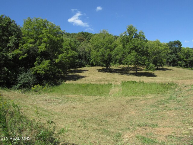 14AC Hartsville Rd, Lafayette, TN 37083 - photo 9
