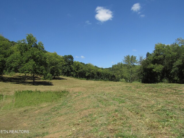 14AC Hartsville Rd, Lafayette, TN 37083 - photo 10