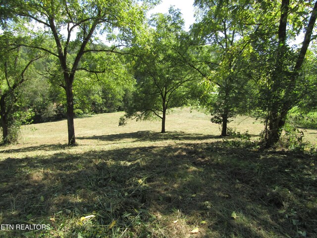 14AC Hartsville Rd, Lafayette, TN 37083 - photo 11