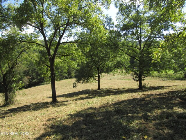 14AC Hartsville Rd, Lafayette, TN 37083 - photo 12