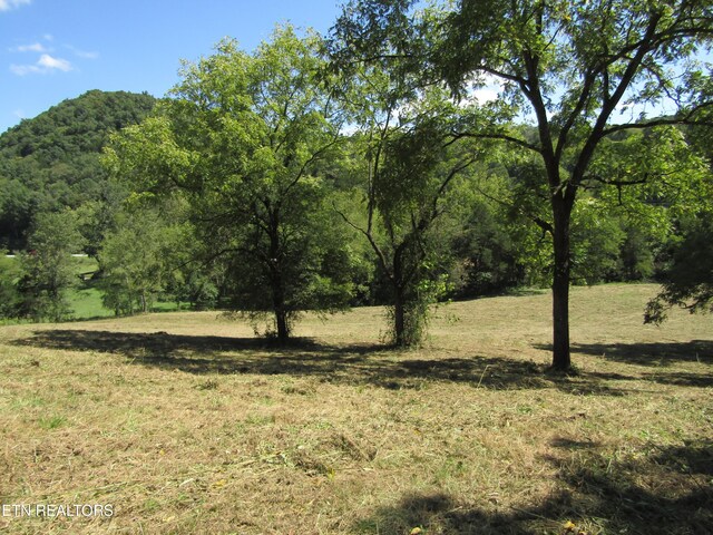 14AC Hartsville Rd, Lafayette, TN 37083 - photo 13