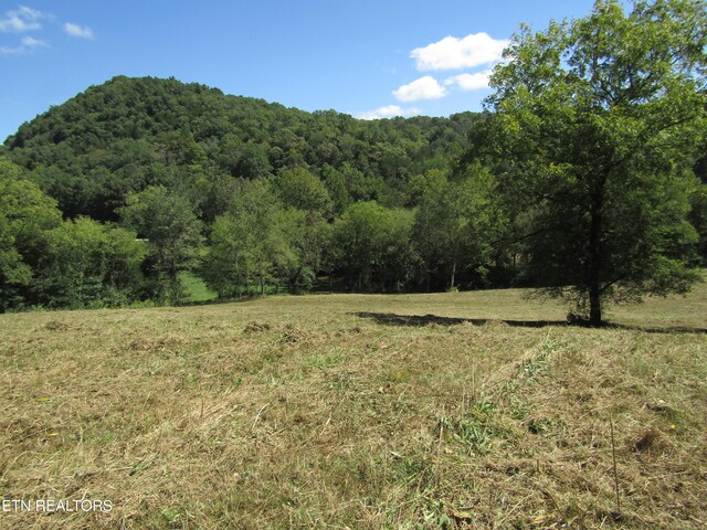 14AC Hartsville Rd, Lafayette, TN 37083 - photo 14