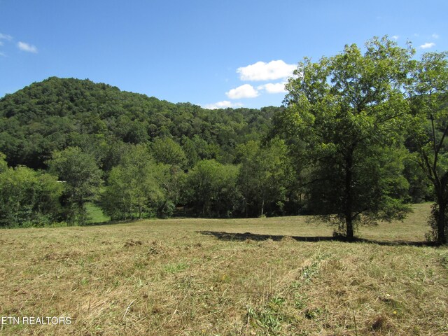 14AC Hartsville Rd, Lafayette, TN 37083 - photo 15