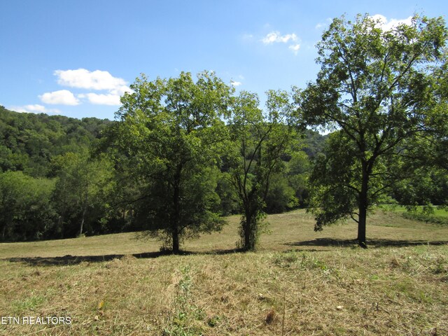 14AC Hartsville Rd, Lafayette, TN 37083 - photo 16