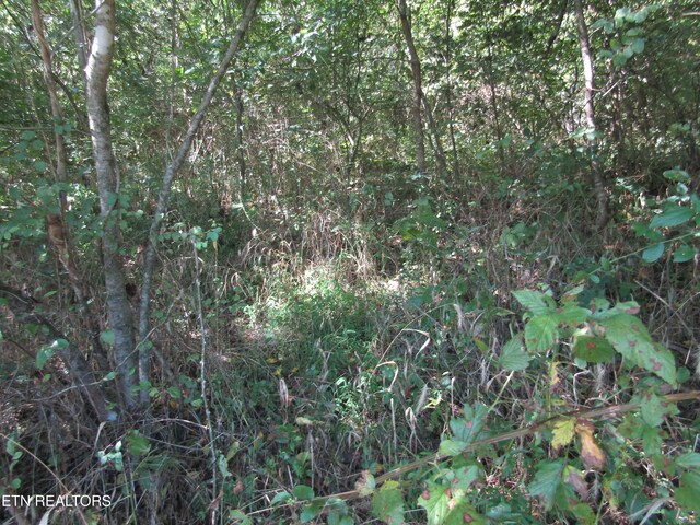 14AC Hartsville Rd, Lafayette, TN 37083 - photo 17
