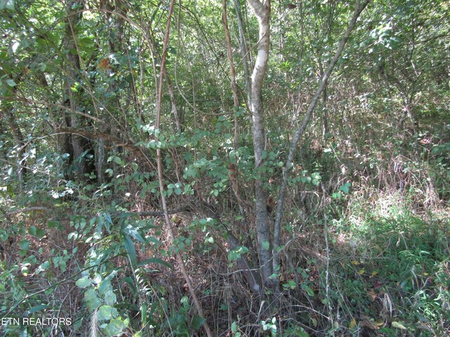 14AC Hartsville Rd, Lafayette, TN 37083 - photo 18