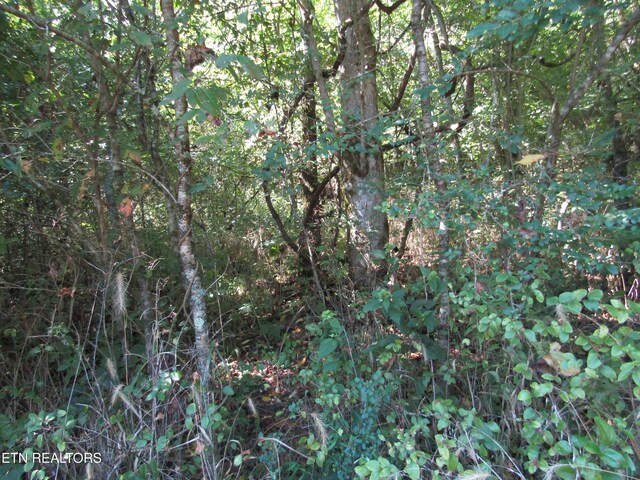 14AC Hartsville Rd, Lafayette, TN 37083 - photo 20
