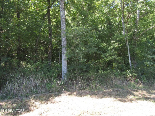 14AC Hartsville Rd, Lafayette, TN 37083 - photo 22