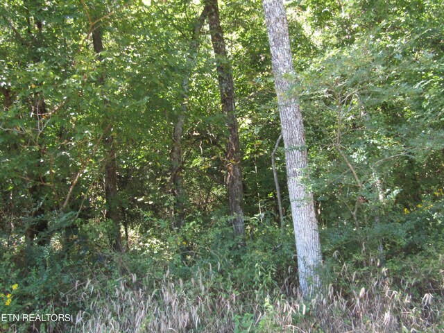 14AC Hartsville Rd, Lafayette, TN 37083 - photo 23