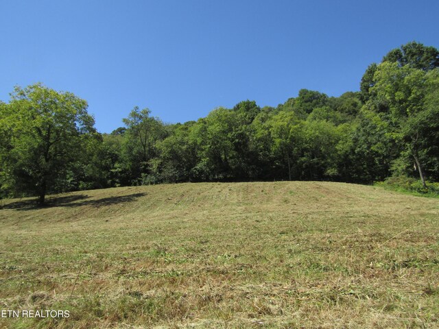 14AC Hartsville Rd, Lafayette, TN 37083 - photo 24