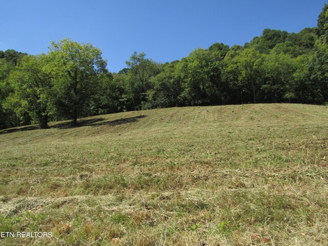 14AC Hartsville Rd, Lafayette, TN 37083 - photo 26