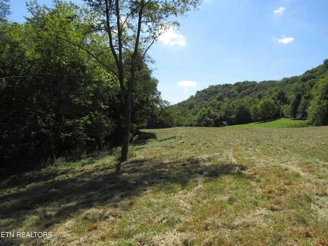 14AC Hartsville Rd, Lafayette, TN 37083 - photo 27