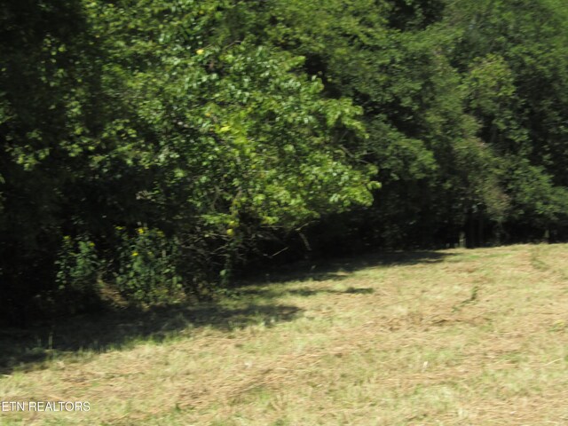 14AC Hartsville Rd, Lafayette, TN 37083 - photo 29