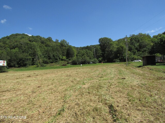 14AC Hartsville Rd, Lafayette, TN 37083 - photo 31