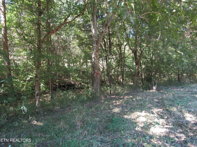 14AC Hartsville Rd, Lafayette, TN 37083 - photo 36