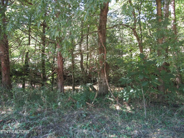 14AC Hartsville Rd, Lafayette, TN 37083 - photo 37
