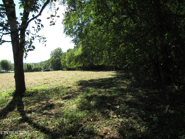 14AC Hartsville Rd, Lafayette, TN 37083 - photo 39