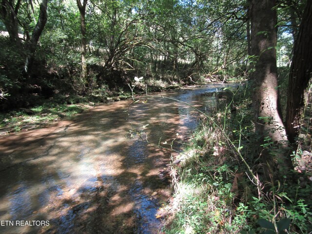 14AC Hartsville Rd, Lafayette, TN 37083 - photo 41