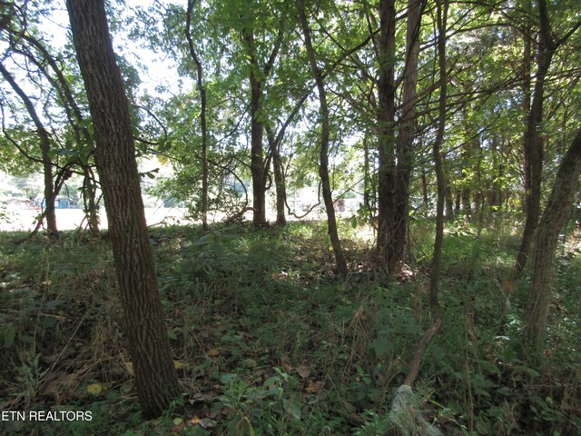 14AC Hartsville Rd, Lafayette, TN 37083 - photo 44