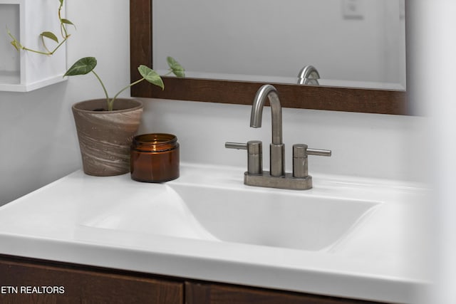 1321 N 4th Ave, Knoxville, TN 37917 - details featuring vanity