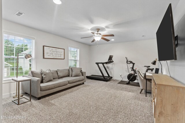 1724 Golden Nugget Ln, Knoxville, TN 37932 - workout area with a ceiling fan, baseboards, carpet, and recessed lighting