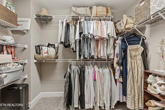 1724 Golden Nugget Ln, Knoxville, TN 37932 - spacious closet with carpet floors
