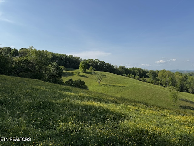 Baltimore Rd, Washburn, TN 37888 - photo 1