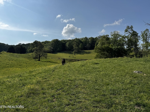 Baltimore Rd, Washburn, TN 37888 - photo 2