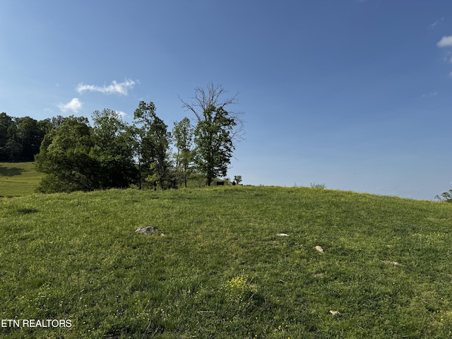 Baltimore Rd, Washburn, TN 37888 - photo 3