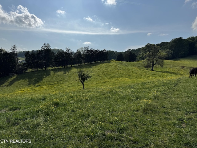 Baltimore Rd, Washburn, TN 37888 - photo 4