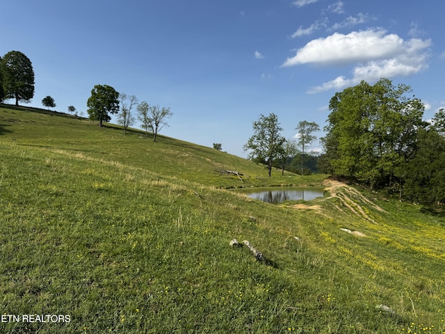 Baltimore Rd, Washburn, TN 37888 - photo 5