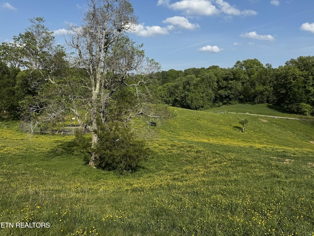 Baltimore Rd, Washburn, TN 37888 - photo 6