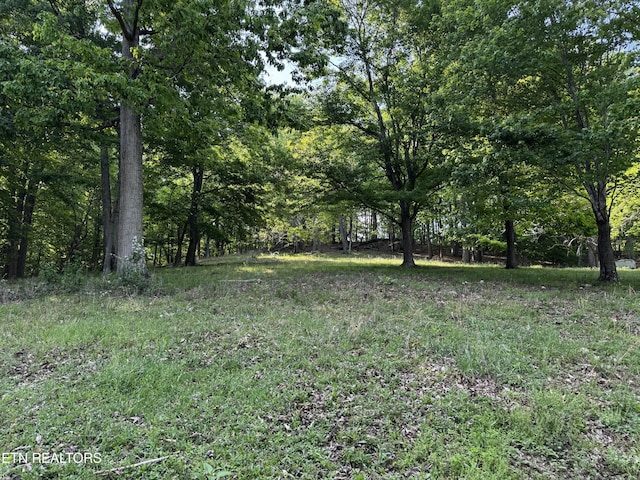 Baltimore Rd, Washburn, TN 37888 - photo 7