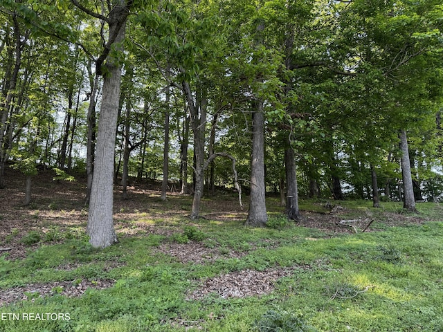 Baltimore Rd, Washburn, TN 37888 - photo 8