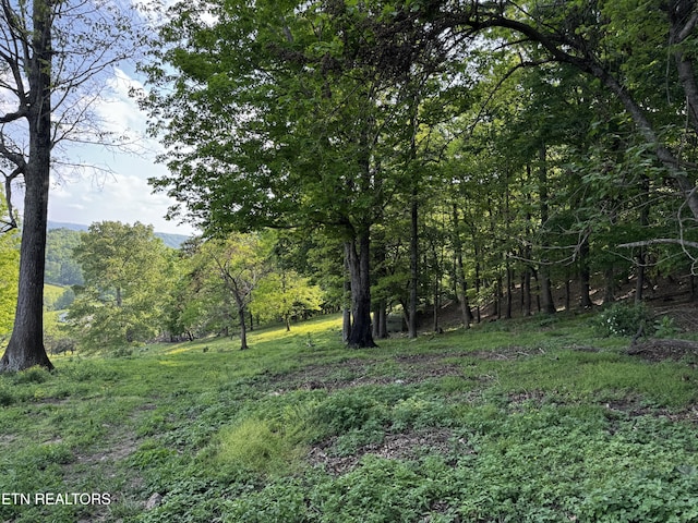 Baltimore Rd, Washburn, TN 37888 - photo 9