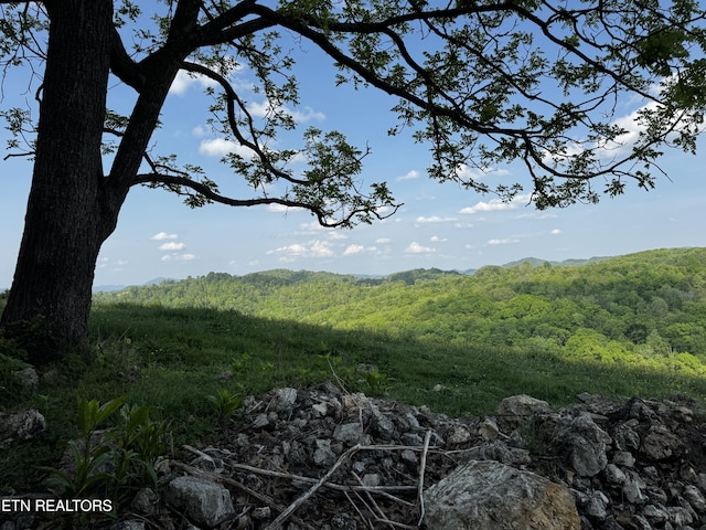 Baltimore Rd, Washburn, TN 37888 - photo 10