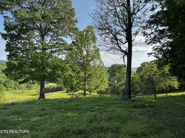 Baltimore Rd, Washburn, TN 37888 - photo 11
