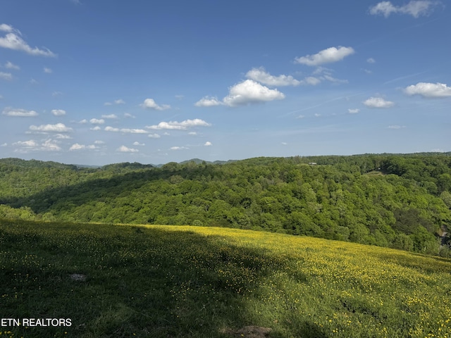Baltimore Rd, Washburn, TN 37888 - photo 12