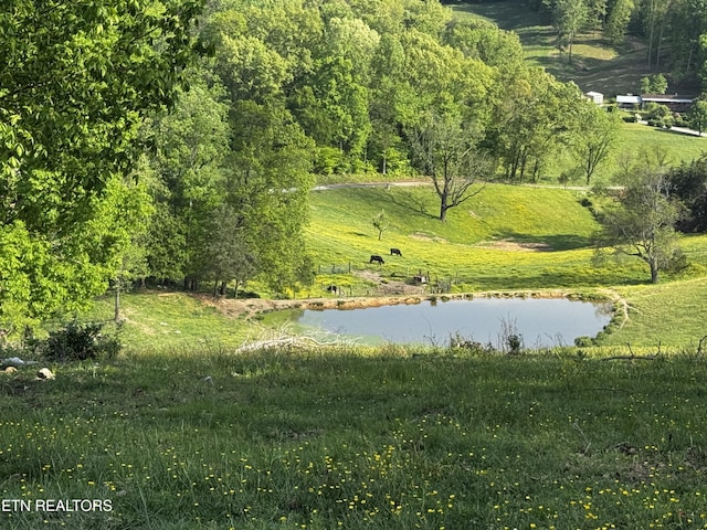 Baltimore Rd, Washburn, TN 37888 - photo 13