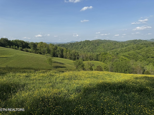 Baltimore Rd, Washburn, TN 37888 - photo 14