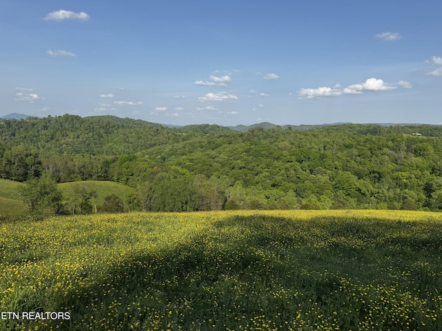 Baltimore Rd, Washburn, TN 37888 - photo 15