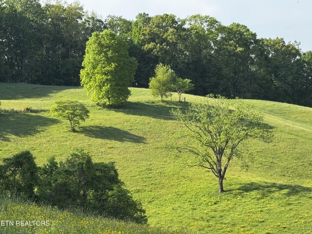 Baltimore Rd, Washburn, TN 37888 - photo 16