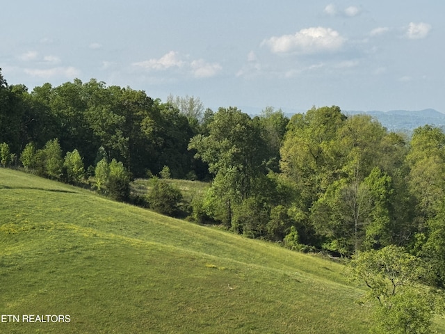 Baltimore Rd, Washburn, TN 37888 - photo 17