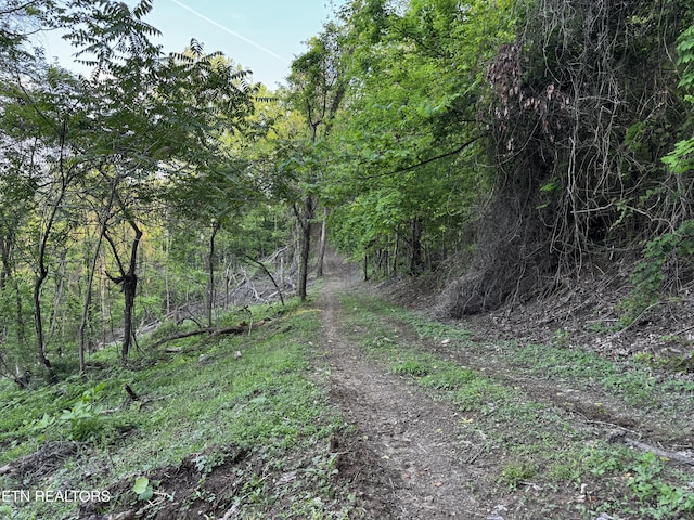 Baltimore Rd, Washburn, TN 37888 - photo 18