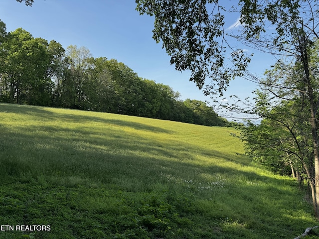 Baltimore Rd, Washburn, TN 37888 - photo 19