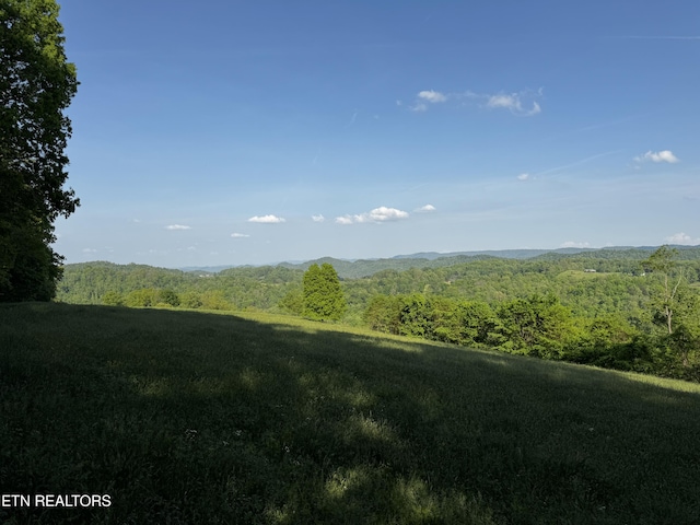 Baltimore Rd, Washburn, TN 37888 - photo 20