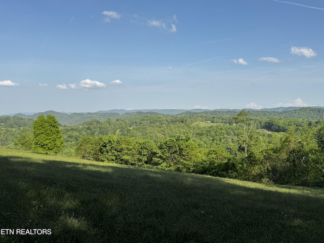 Baltimore Rd, Washburn, TN 37888 - photo 21